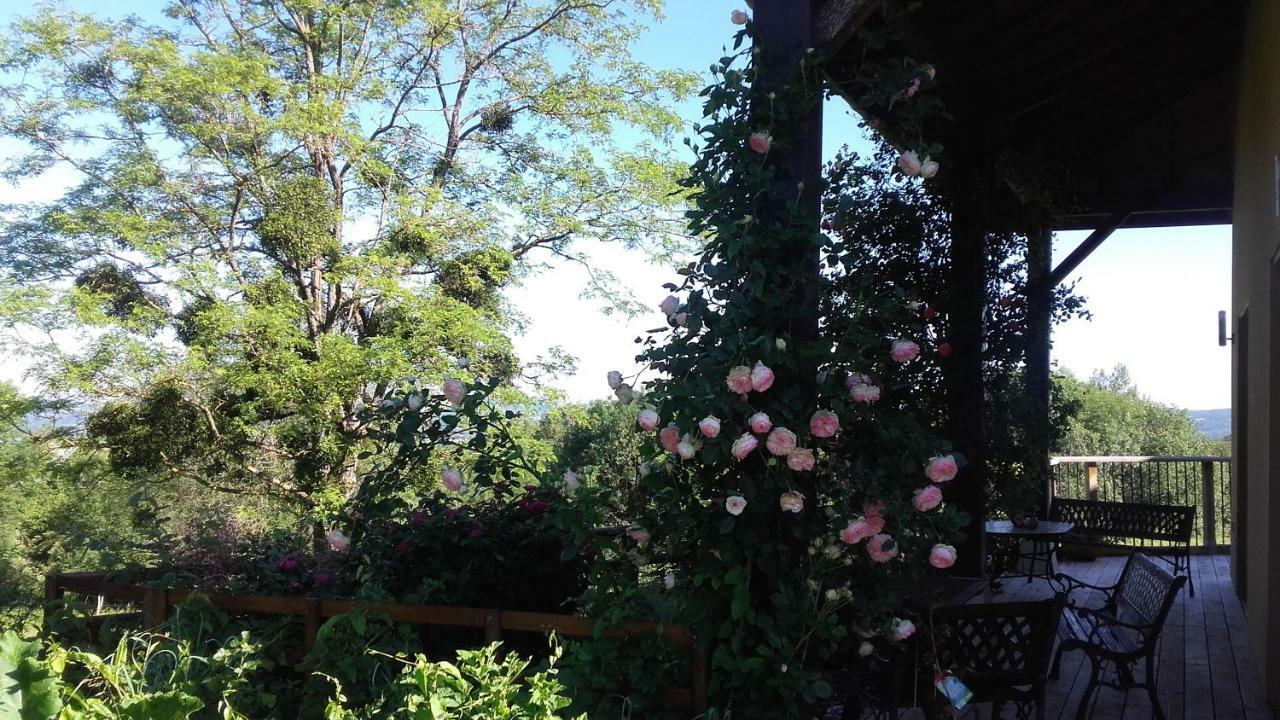 Bed and Breakfast Le Grand Noyer Ambronay Esterno foto